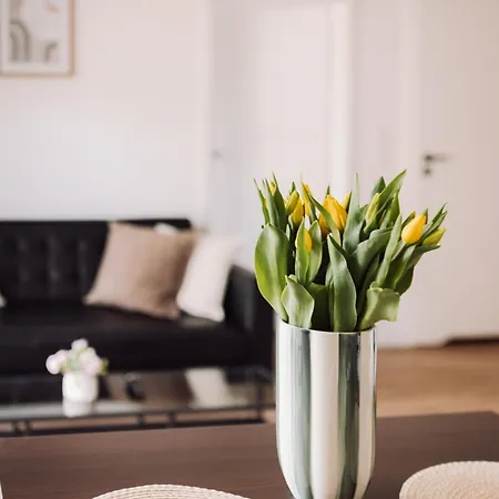 Apartament Wrzosowa 23b Kudowa-Zdrój